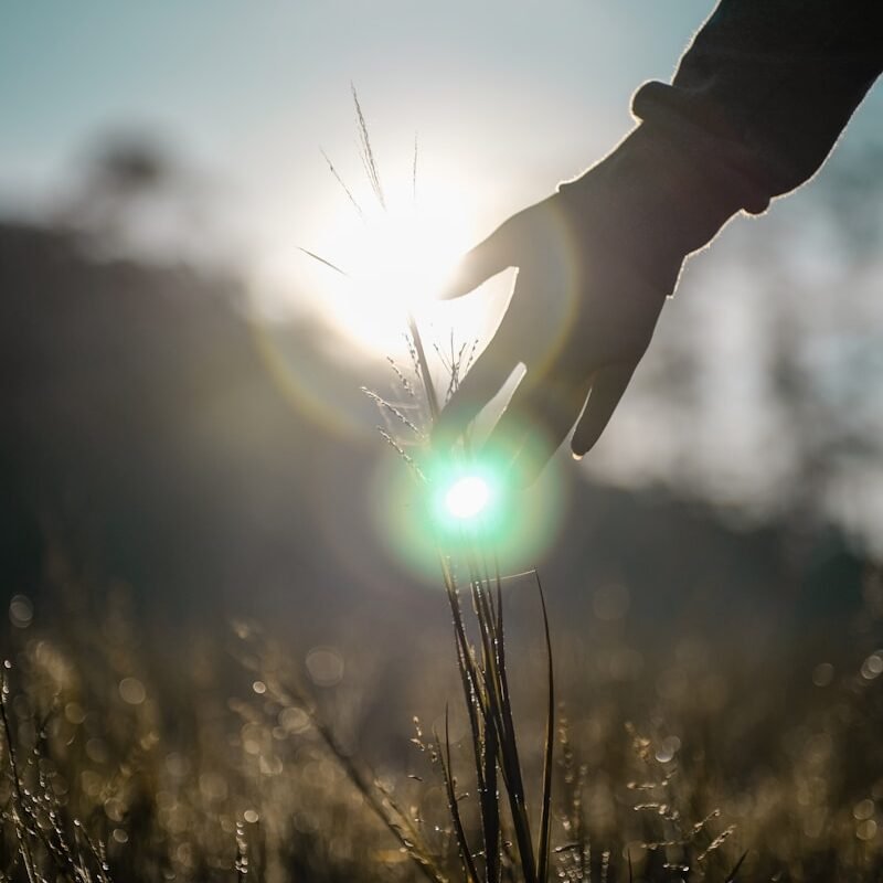person holding light during daytime