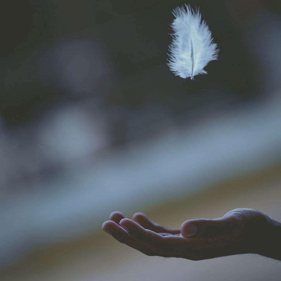shallow focus photography of white feather dropping in person's hand