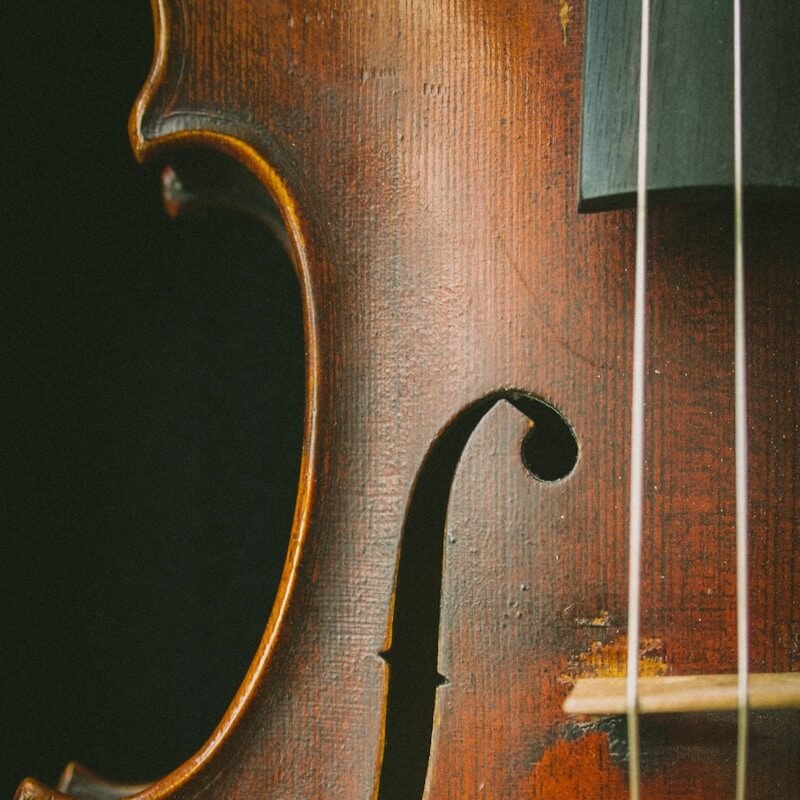 brown violin