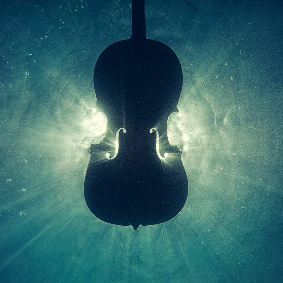 black violin on underwater digital wallpaper